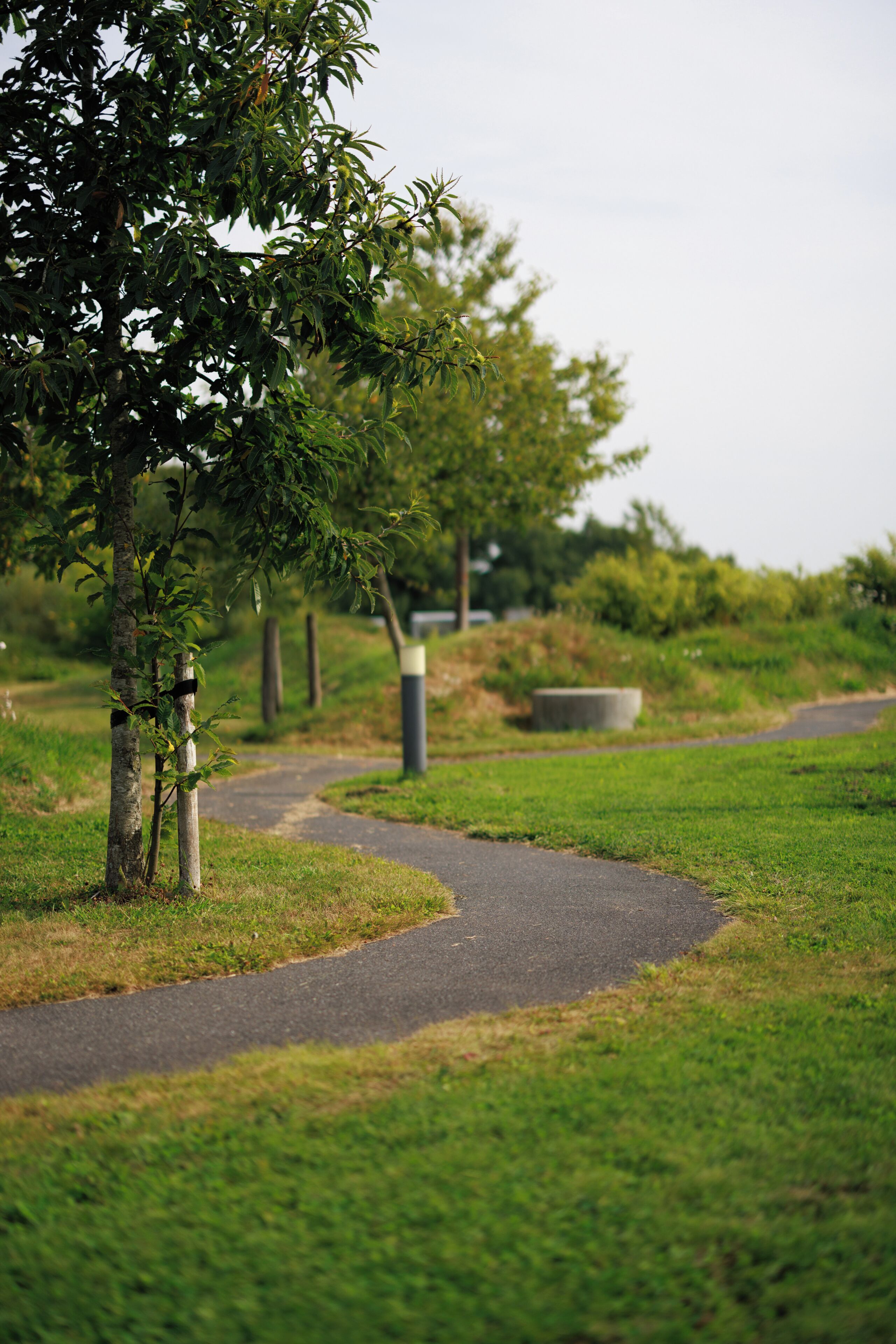 Een verhard pad in een park met bomen en gazons.