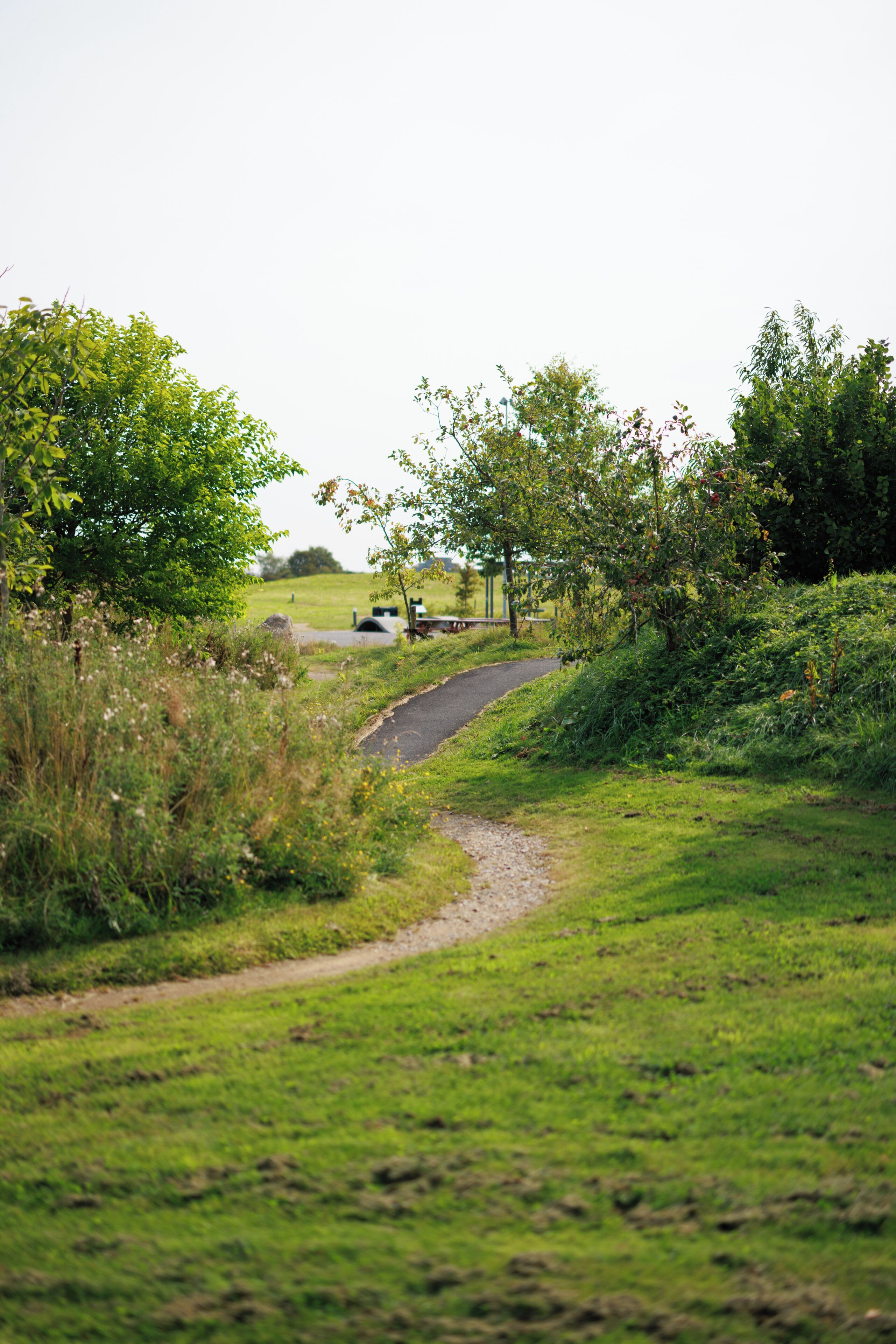 Een landweg met begroeiing en een gebouw in de verte.