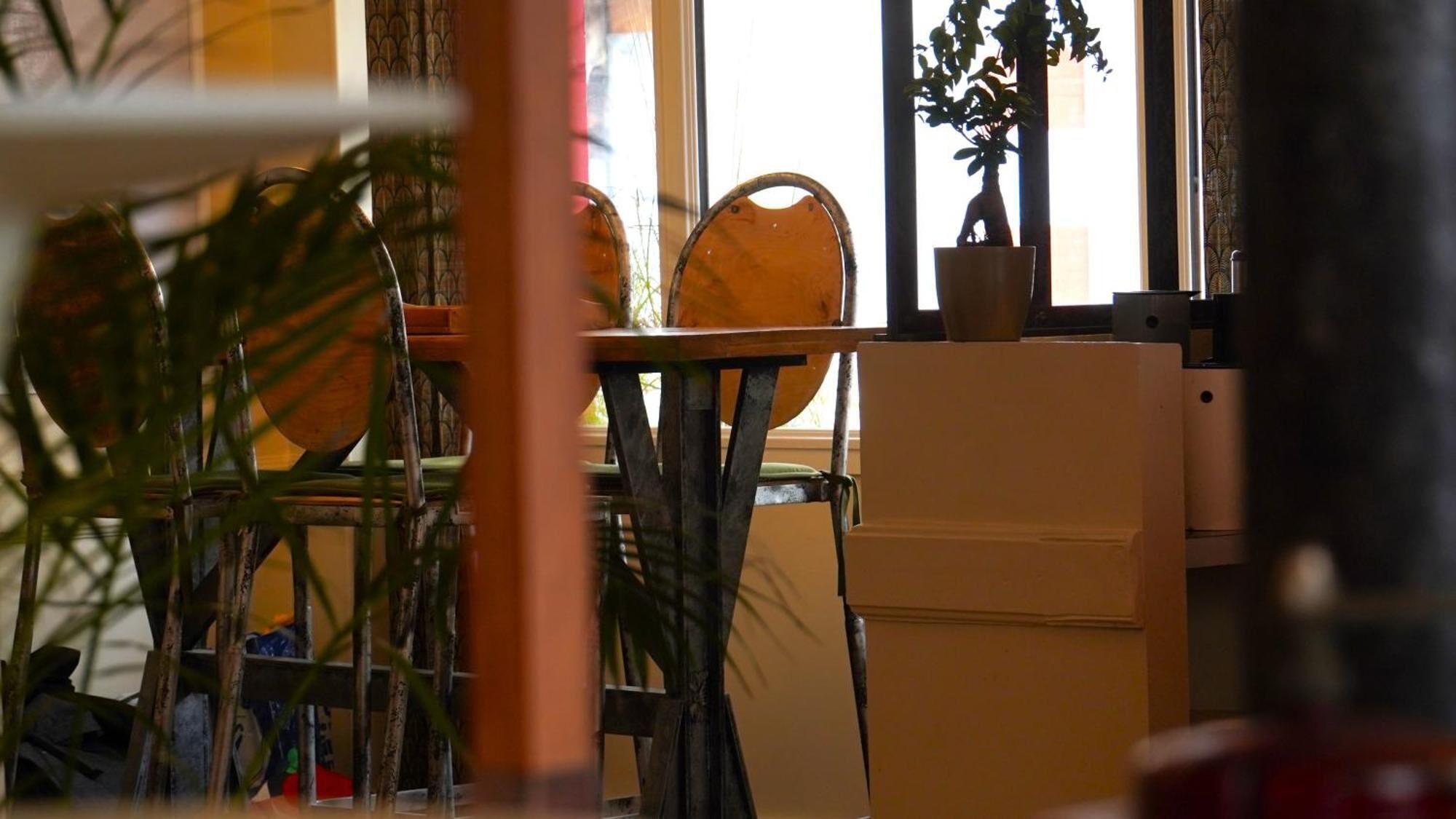 A room with a chair, a small table, and a cabinet. There are plants and a window in the background.