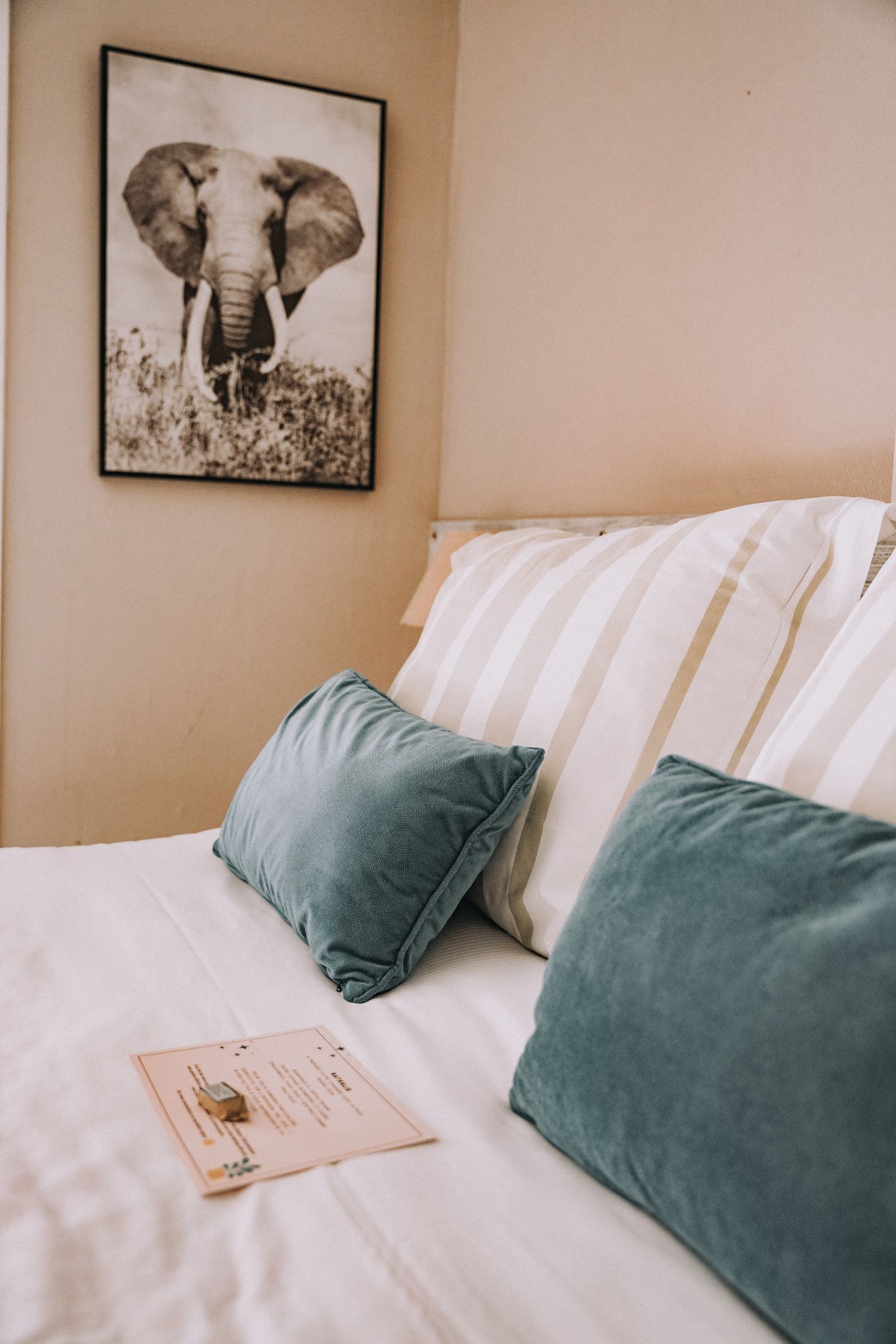 Habitación económica doble, baño privado | Ropa de cama