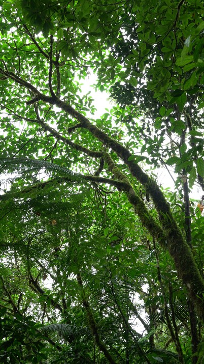 Apartamento Rio Celeste Dreams