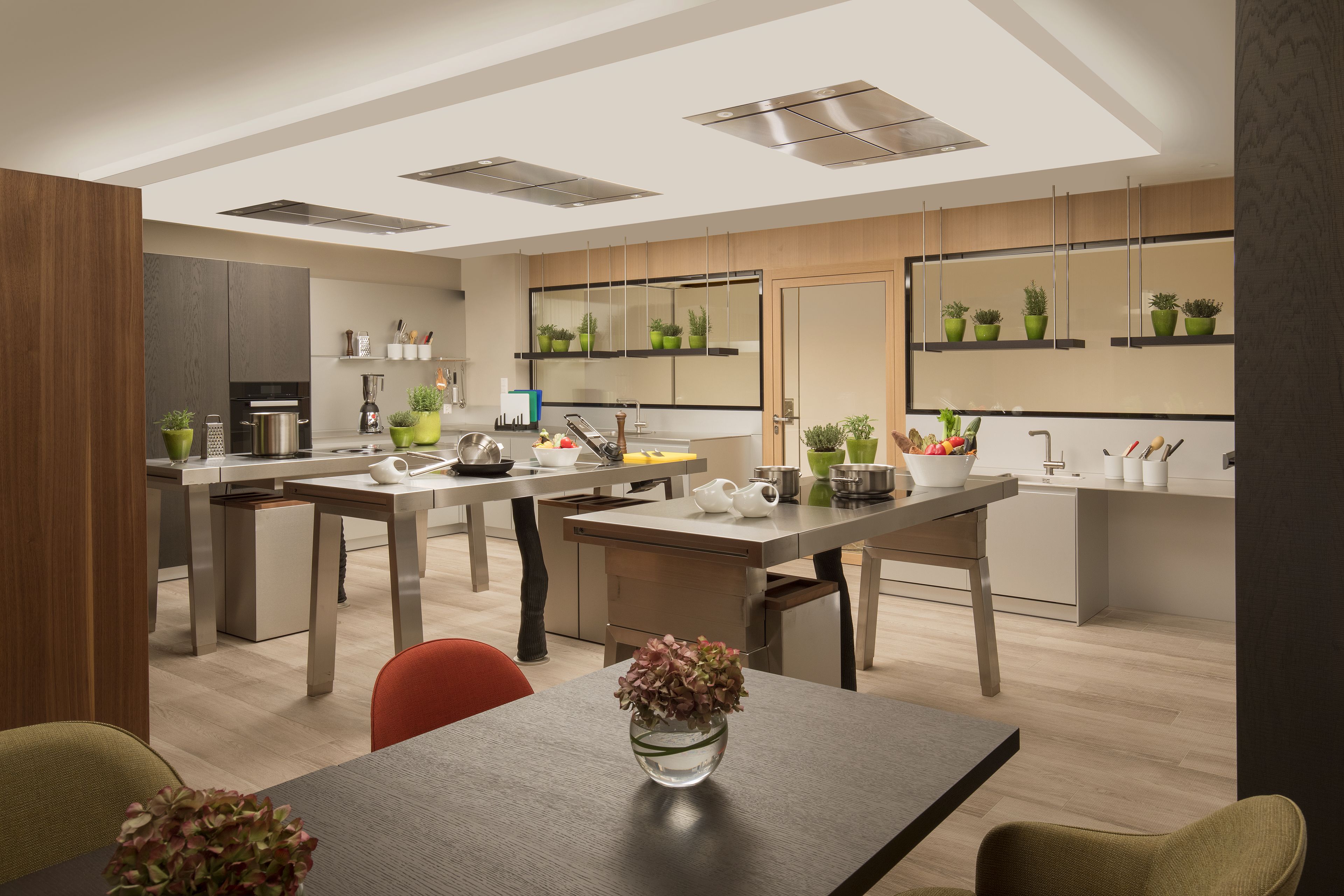 A modern kitchen with a central island, built-in appliances, and potted plants.