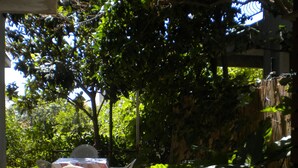 Un patio con mesa y sillas, rodeado de abundante vegetación y un piso de piedra.