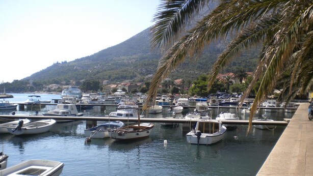 Una marina con varios barcos amarrados, rodeada por un paisaje montañoso y palmeras.