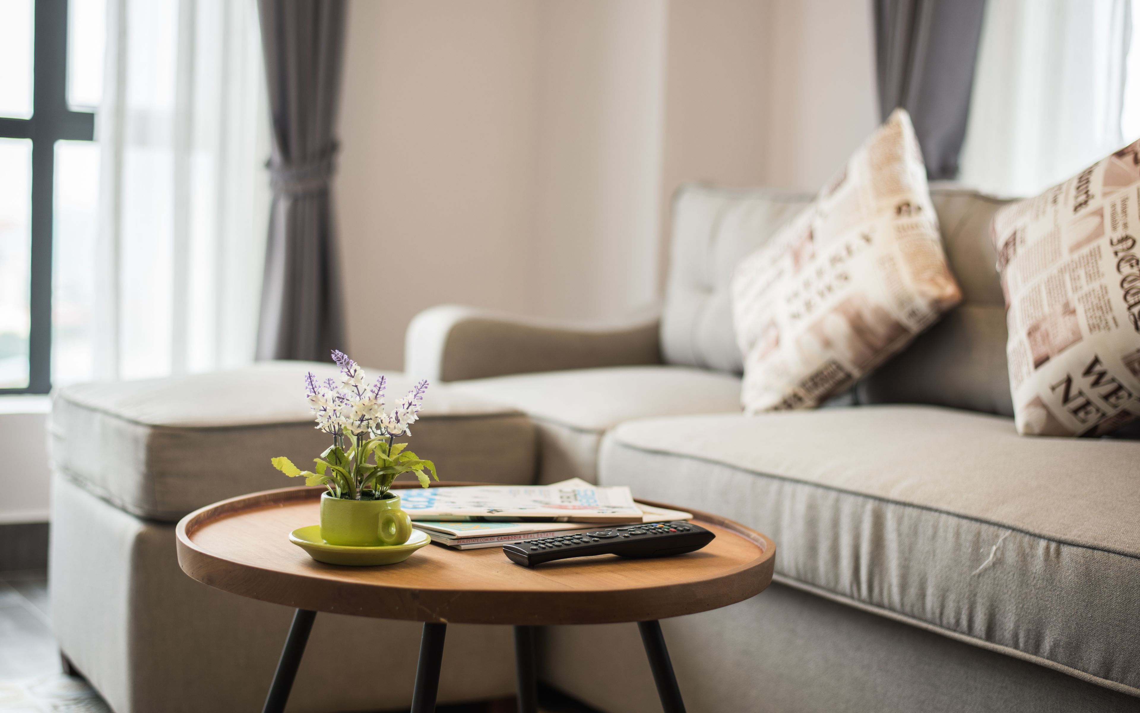 Un salón con un sofá, una mesita redonda con un control remoto, una revista y una planta en maceta.