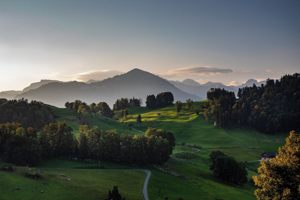 Taverne 1879 by null