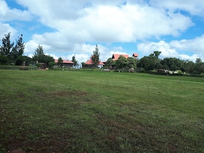 Garden - Aloha Cottage (Ngong)