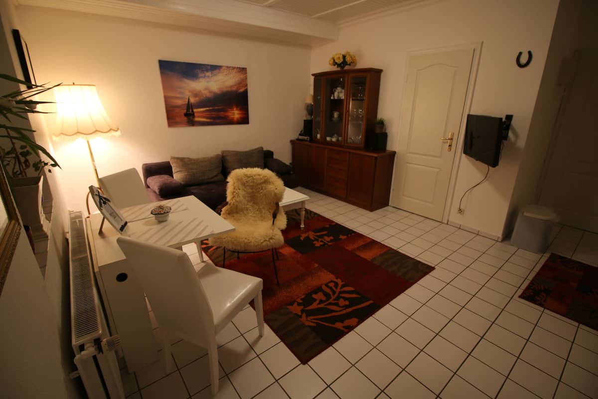 Appartamento Standard, 1 camera da letto, terrazzo | Area soggiorno | TV a schermo piatto