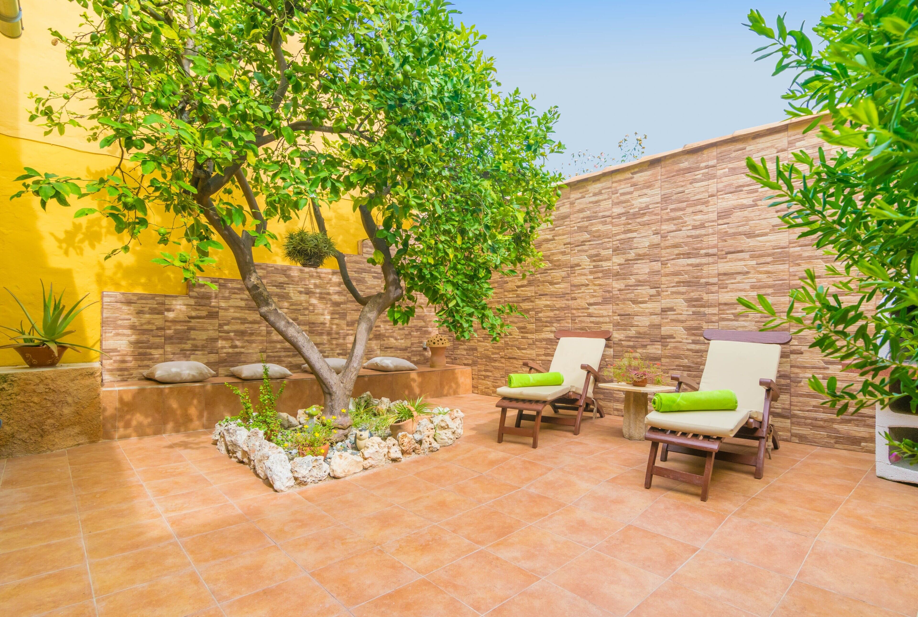 Un patio exterior con dos sillas de madera, un árbol pequeño y una maceta de piedra con plantas.