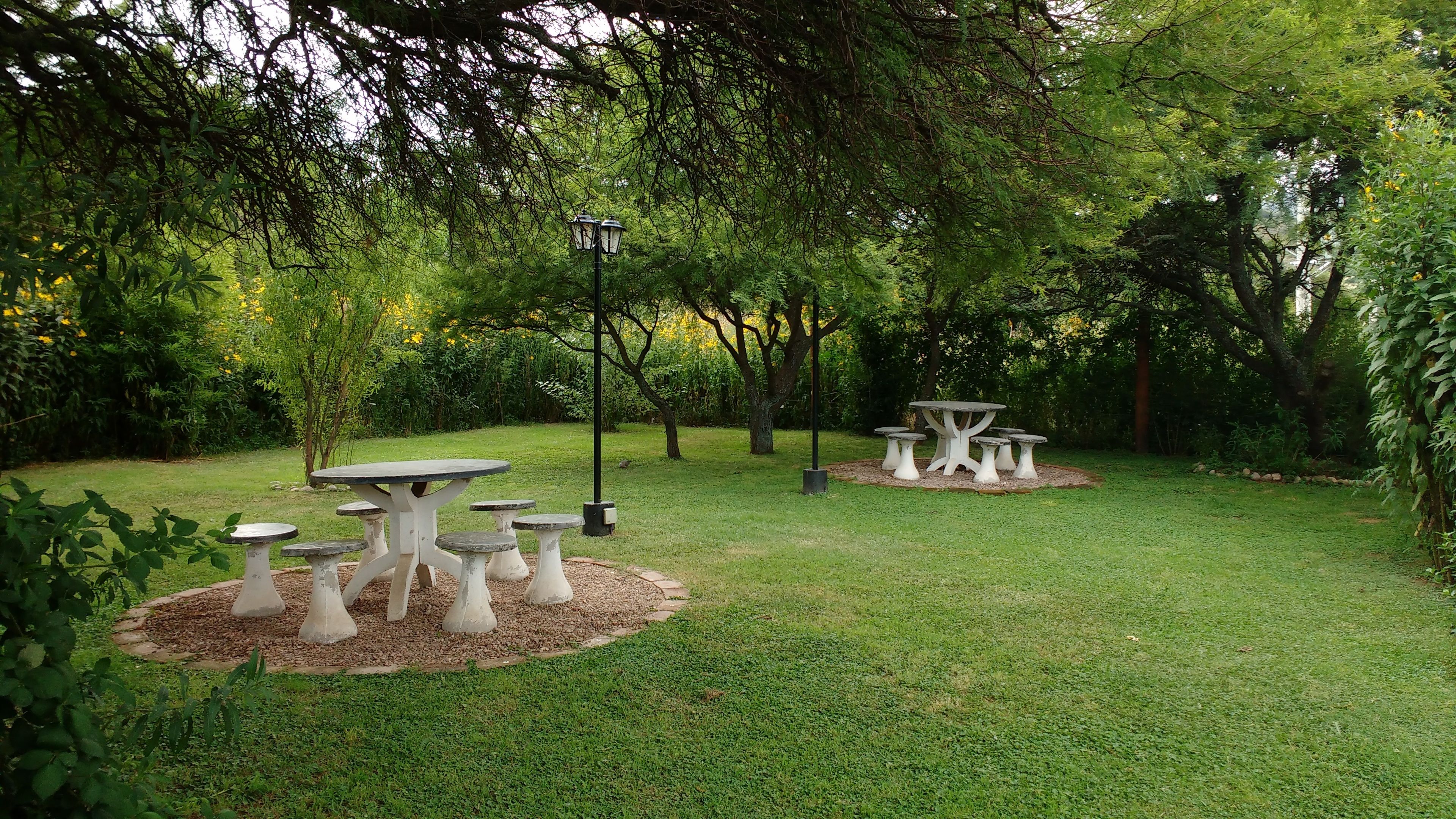 A garden with a central table surrounded by benches, surrounded by trees and greenery.