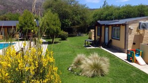 Il s’agit d’une propriété résidentielle dotée d’une piscine, d’un patio et d’un petit jardin agrémenté de fleurs jaunes et de pelouse.