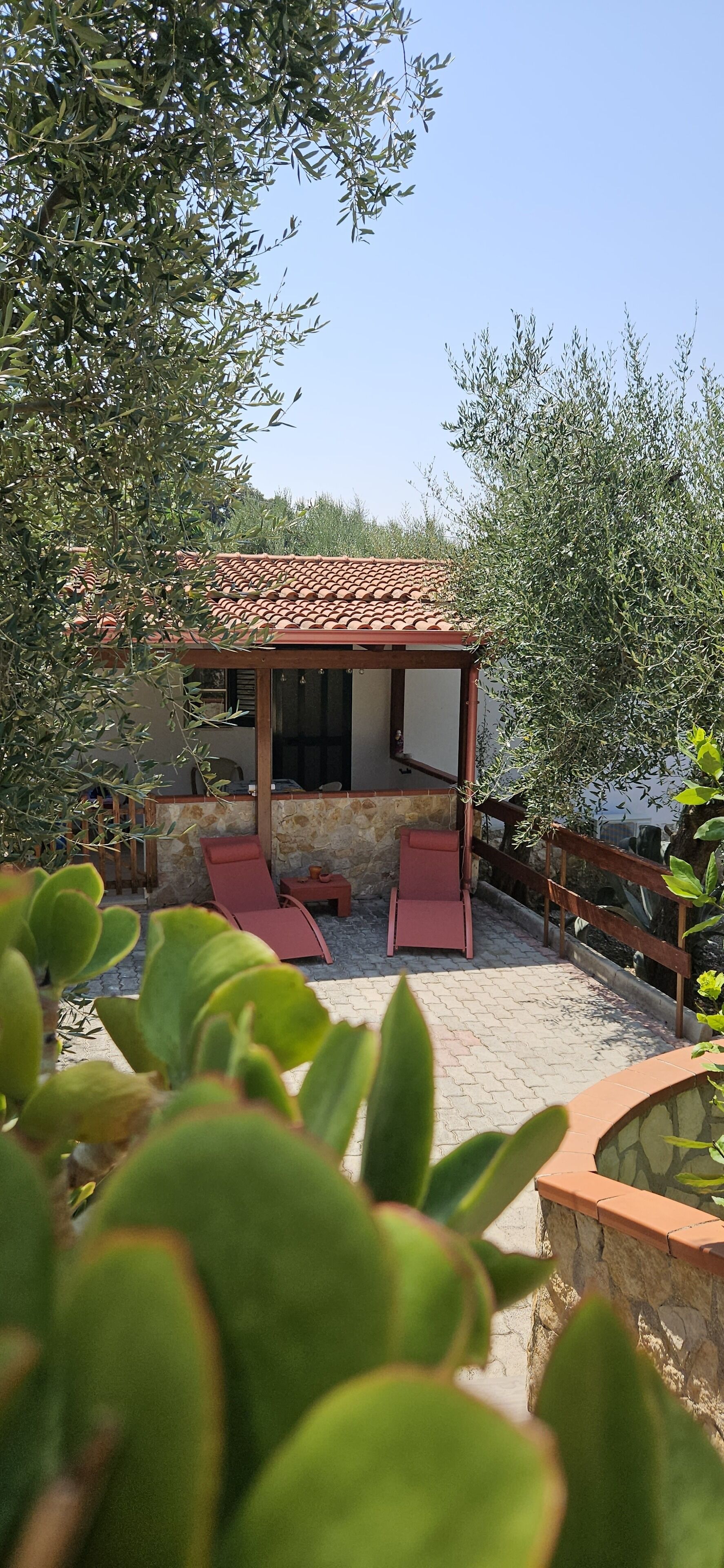 Terrein van de accommodatie