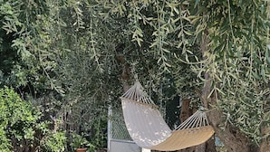 Un hamac suspendu sous un olivier, entouré de plantes en pot et d’un mur de pierres.