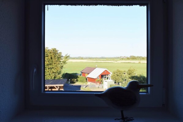 Blick von der Unterkunft
