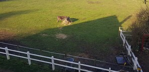 ห้องดับเบิล (N°11) | วิวจากห้องพัก