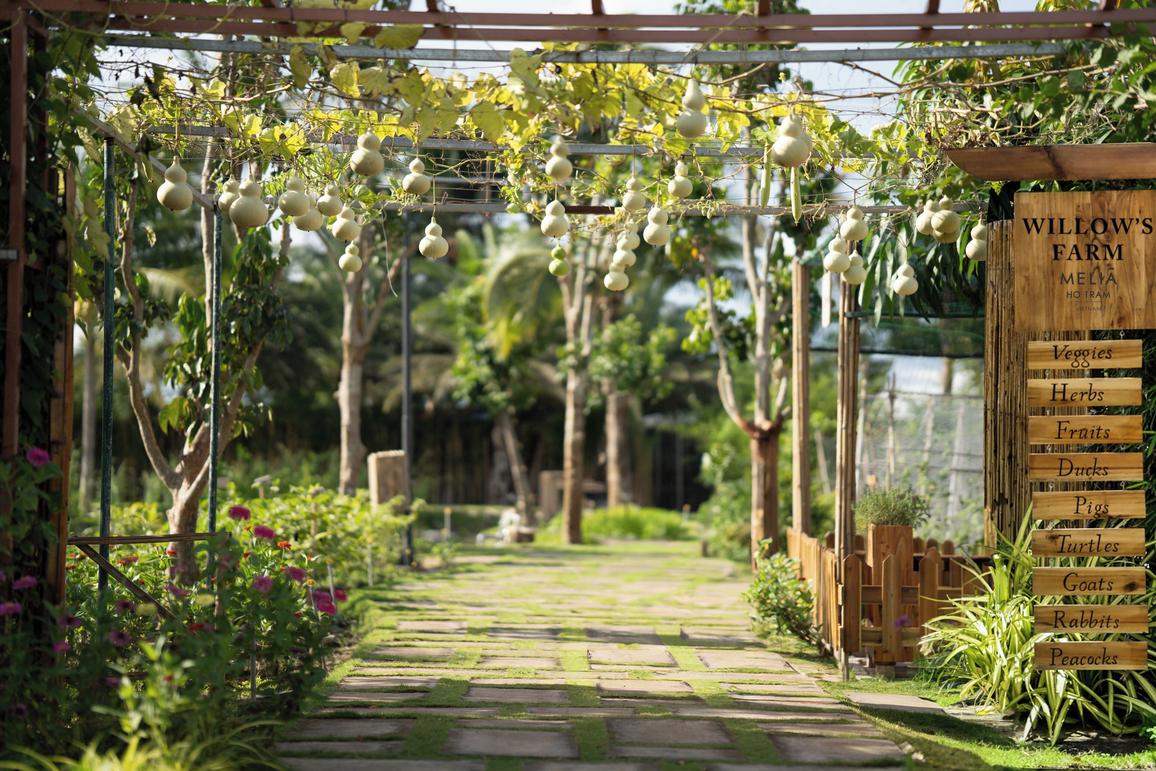Un sentier de jardin bordé d’une pergola, entouré d’une végétation luxuriante et agrémenté d’un panneau indiquant les produits de la ferme, tels que des légumes, des herbes aromatiques et des fruits.