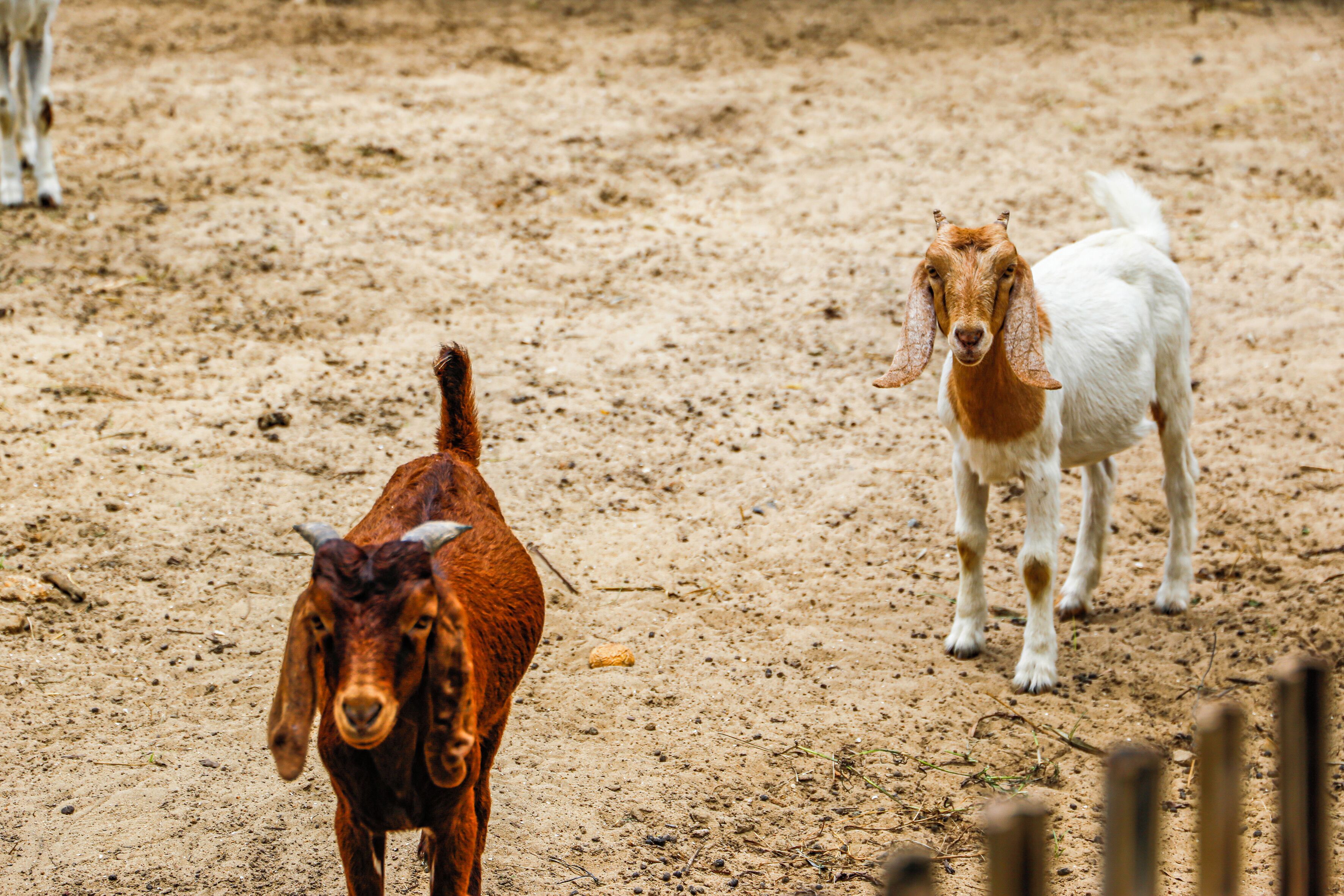 children’s activities