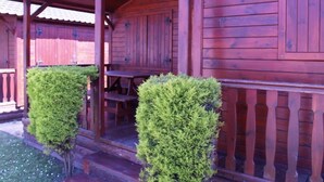 Una cabaña de madera con un porche, una mesa y dos arbustos bien cuidados.