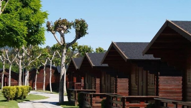 Cabañas de madera alineadas con un sendero pavimentado y árboles.