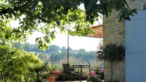 A garden with potted plants, a table, and chairs. - La Bastide (Lamillarie)