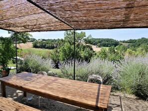 Terrace/patio - La Bastide (Lamillarie)