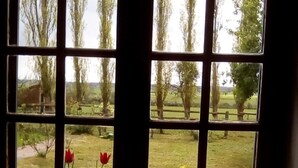 A window with a view of a garden and trees. - La Ferme Des Vignes (Hotot-en-Auge)