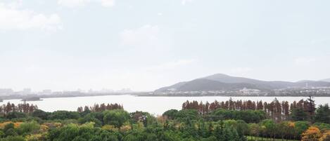 A view of a lake with a forested area in the foreground and a cityscape in the background.