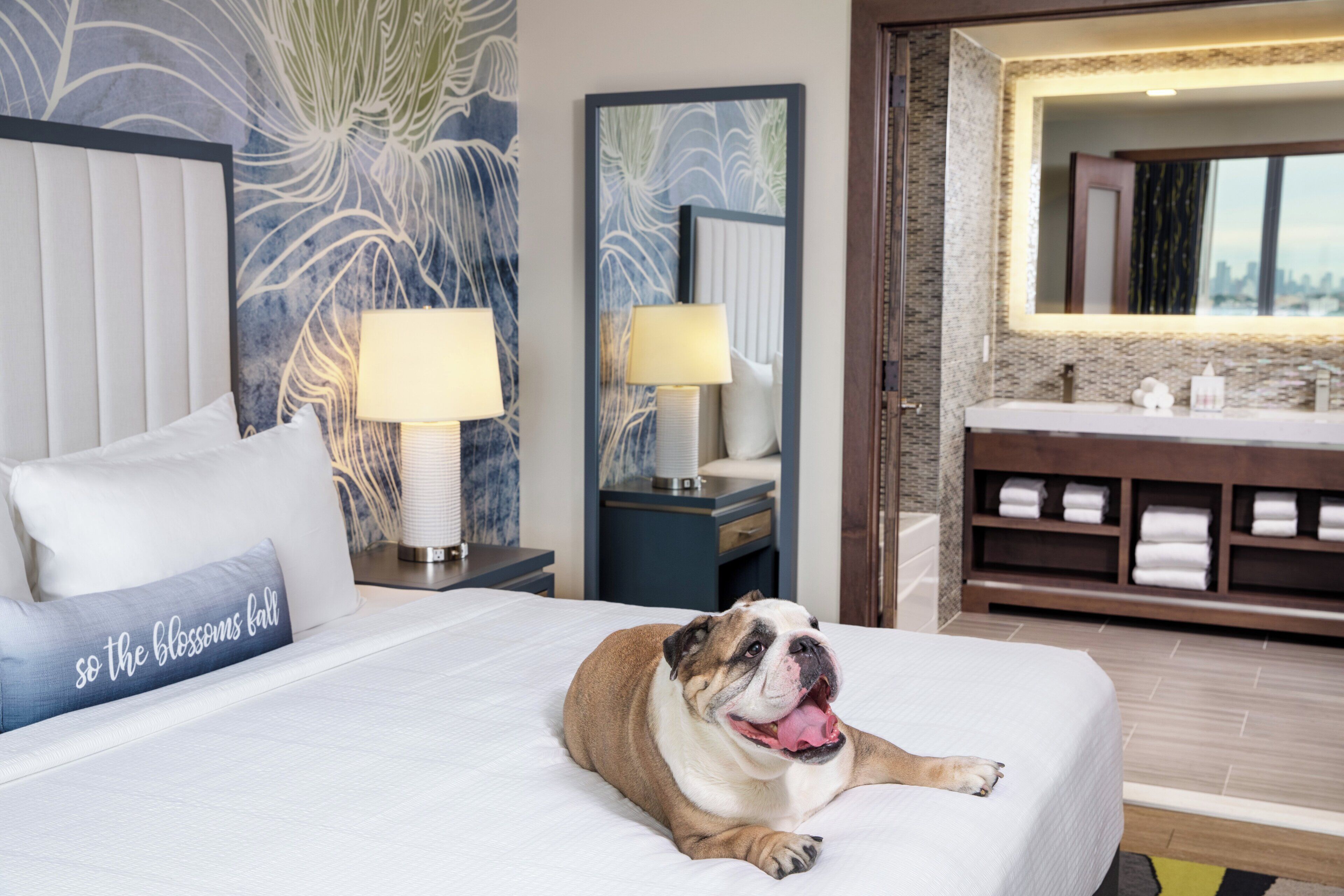 A hotel room with a bed, a dog lying on it, a nightstand with a lamp, a bathroom with a sink and mirror, and a city view through the window.