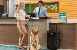 Pet-friendly