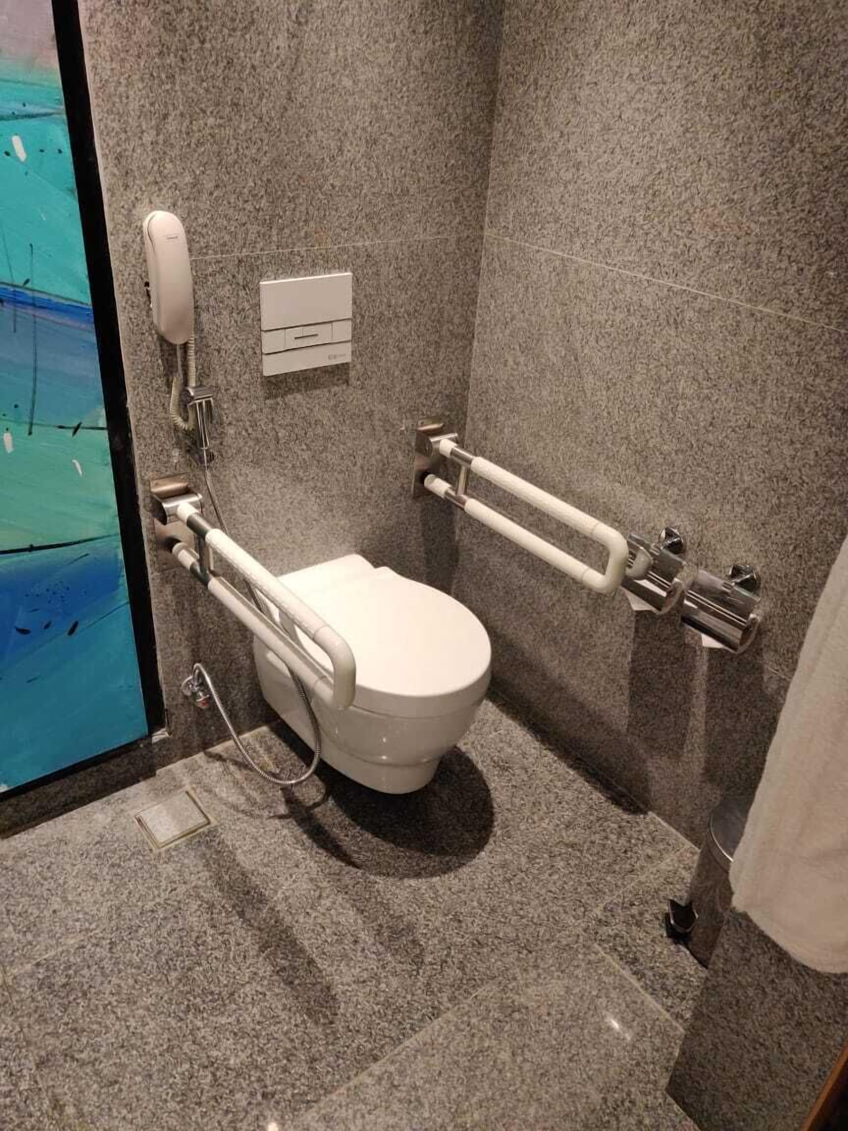 A modern bathroom with a toilet, grab bars, and a shower area.