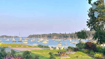 A marina with boats, a grassy area with sunflowers, and a clear sky.
