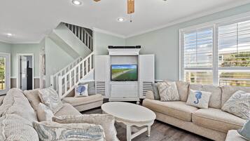 TV connectée, lecteur de DVD, livres, vidéothÚque