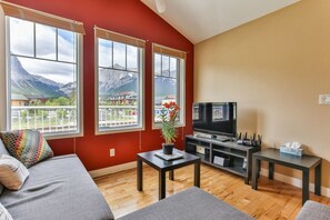 TV, fireplace, books