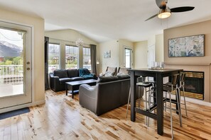 TV, fireplace, books