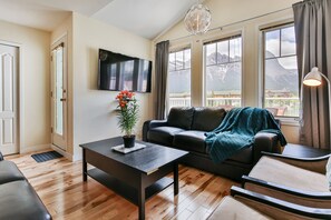 电视、壁炉、书