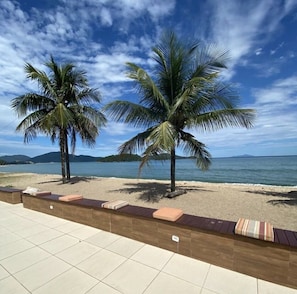 Une plage bordée de palmiers, avec vue sur la mer.