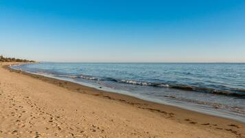 Plage à proximité, chaises longues, serviettes de plage