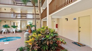 Immagine non classificata, 4 di 50, pulsante