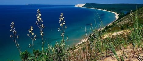 Nära stranden och solstolar