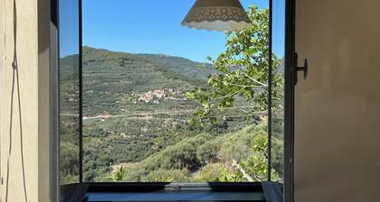 Garden among olive groves, beaches 20 minutes drive away IT008019B5MNDCYLL8