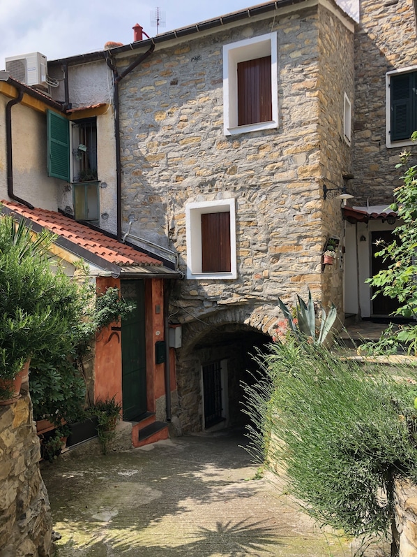 Exterior - Garden among olive groves, beaches 20 minutes drive away IT008019B5MNDCYLL8 (Gazzelli)