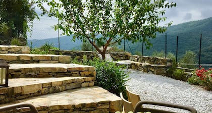 Relaxation in the garden among olive trees and the sea IT008019B5MNDCYLL8