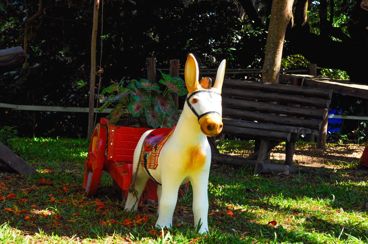 suite, garden view | garden view