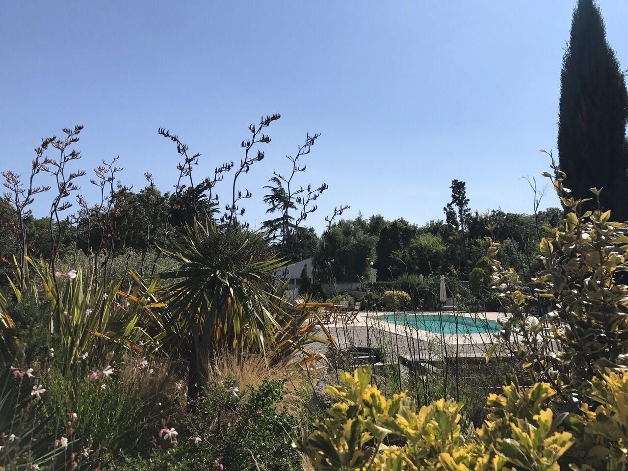 Le parc et sa piscine