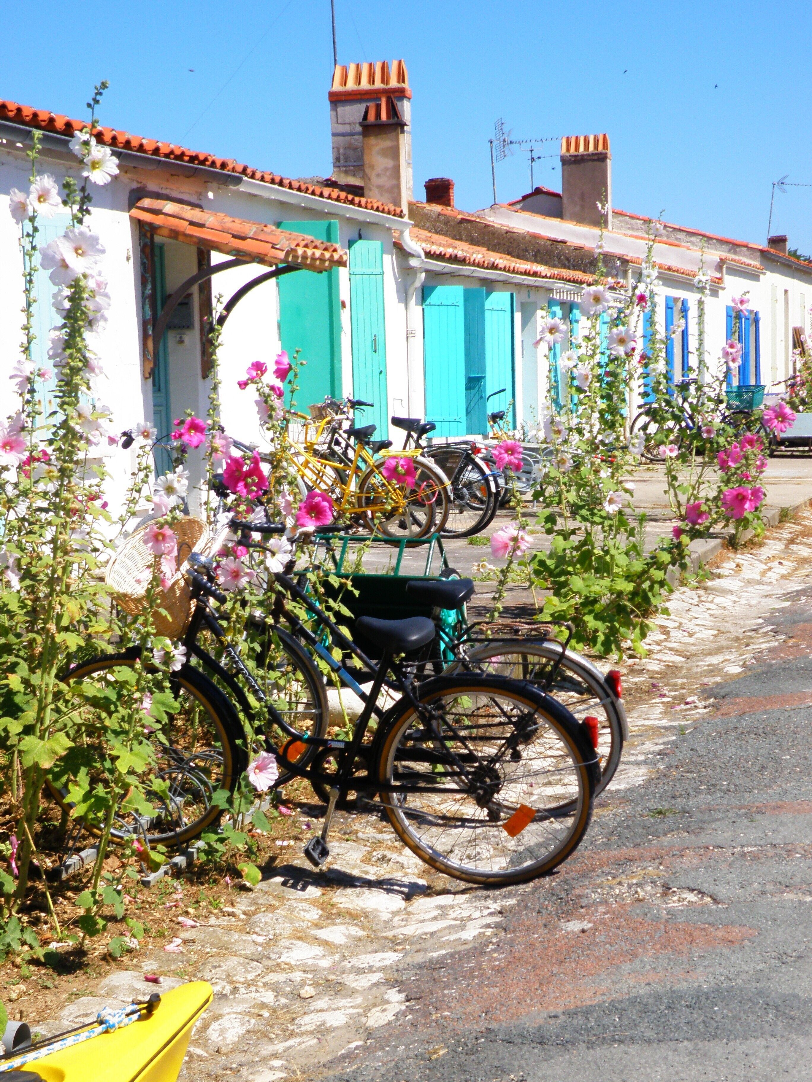 partir à la découverte de l'île