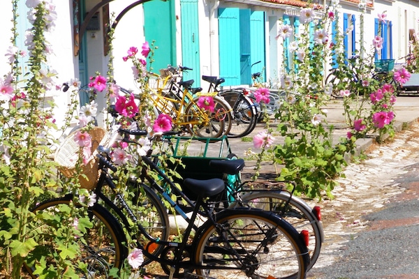 partir à la découverte de l'île