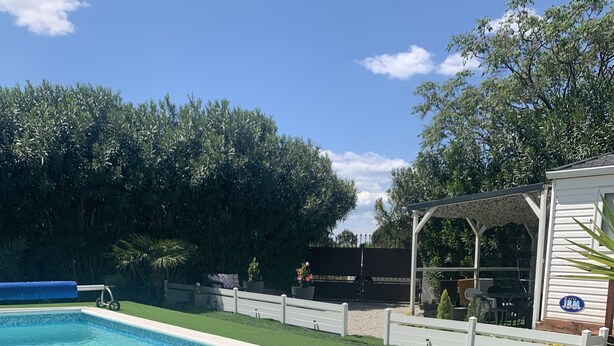 A swimming pool with a surrounding grassy area and a covered patio.