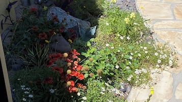 A garden with various plants and flowers, a stone pathway, and a metal structure.