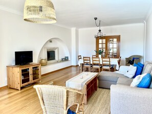 TV, fireplace, DVD player, books