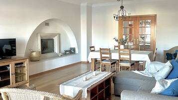 TV, fireplace, DVD player, books